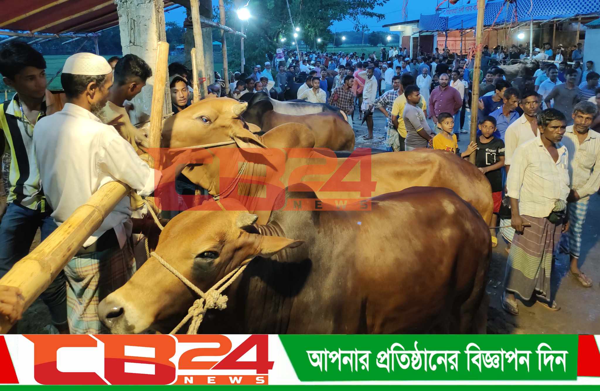 বেচাকেনায় জমজমাট চেরাংঘর পশুর হাট