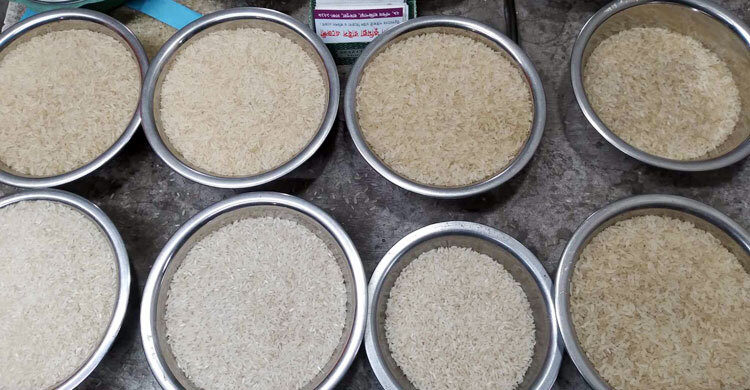 rice 20240315104447